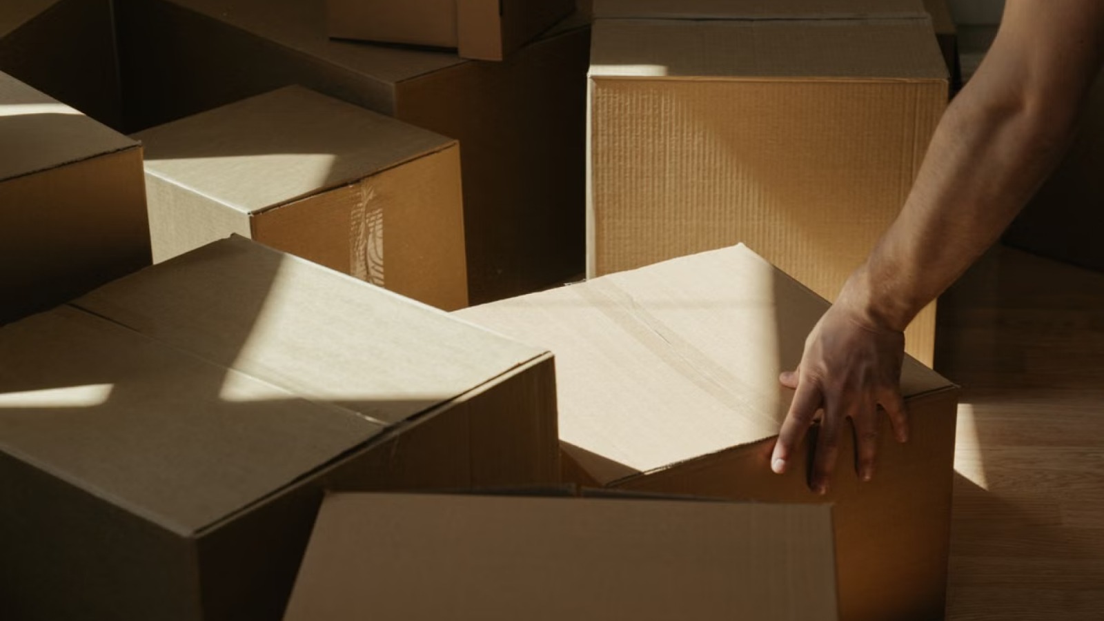 Professional moving services in Canton: the Dolly Donkeys crew loading boxes into the moving truck