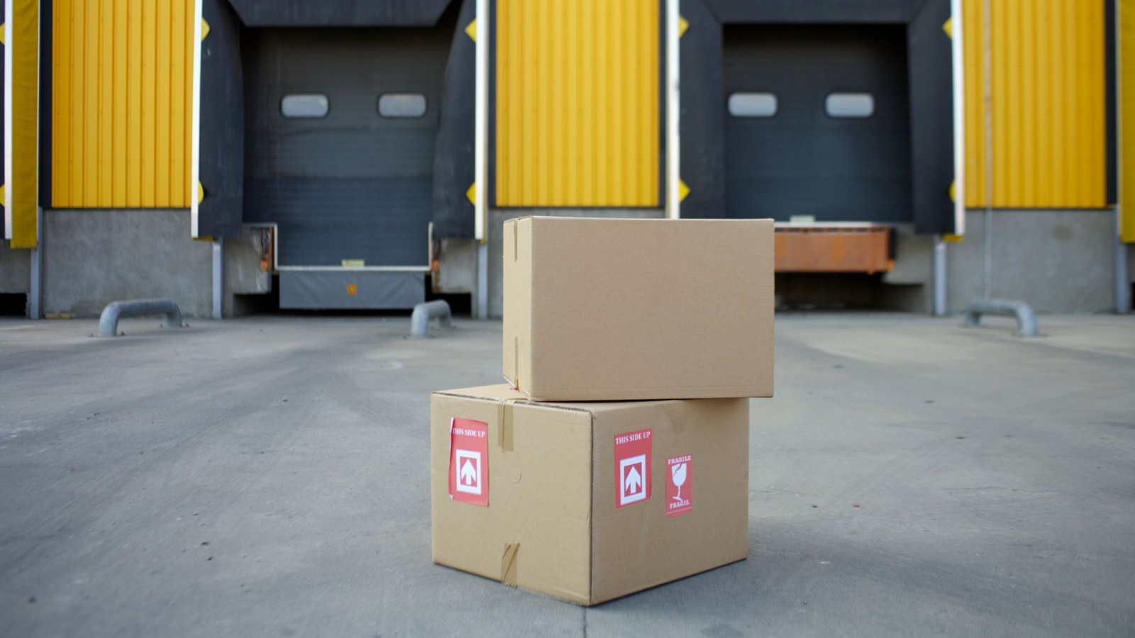 Dolly Donkeys movers wrapping and loading equipment for a commercial move